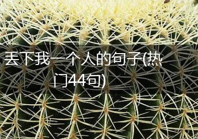 丢下我一个人的句子(热门44句)