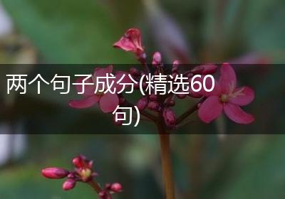 两个句子成分(精选60句)