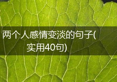 两个人感情变淡的句子(实用40句)