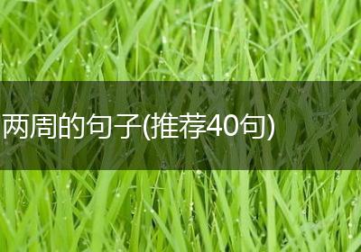 两周的句子(推荐40句)