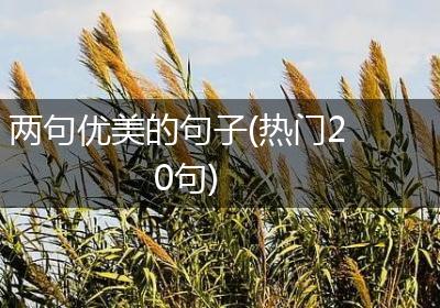 两句优美的句子(热门20句)