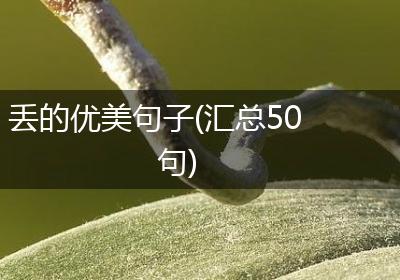 丢的优美句子(汇总50句)