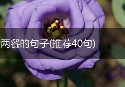 两餐的句子(推荐40句)