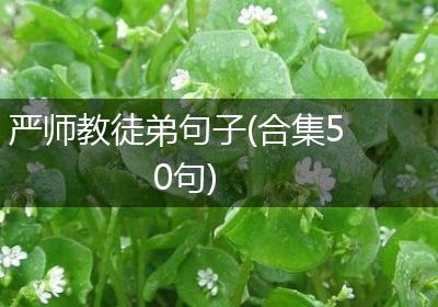 严师教徒弟句子(合集50句)
