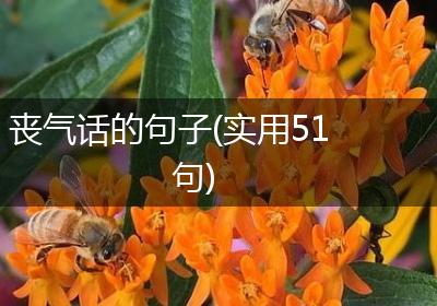 丧气话的句子(实用51句)