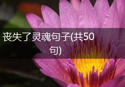 丧失了灵魂句子(共50句)