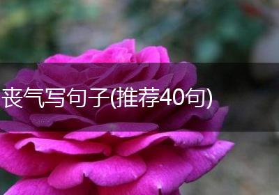 丧气写句子(推荐40句)