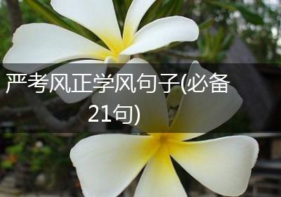 严考风正学风句子(必备21句)