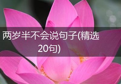 两岁半不会说句子(精选20句)
