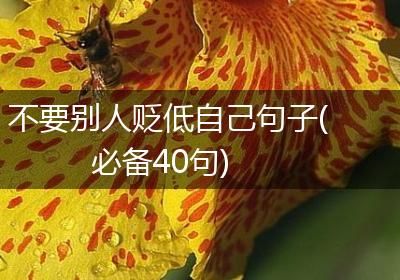 不要别人贬低自己句子(必备40句)