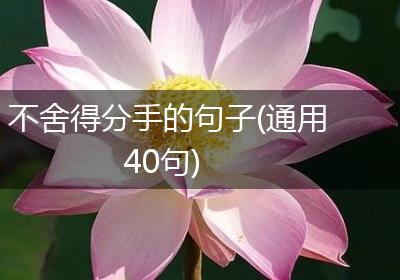 不舍得分手的句子(通用40句)