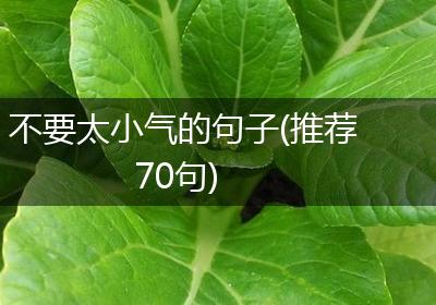 不要太小气的句子(推荐70句)