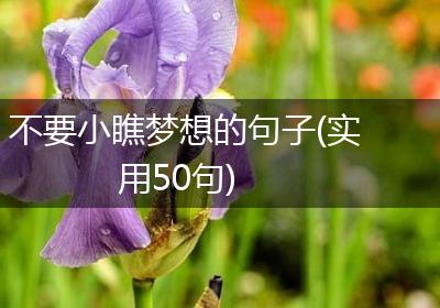不要小瞧梦想的句子(实用50句)