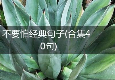 不要怕经典句子(合集40句)