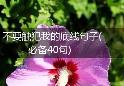 不要触犯我的底线句子(必备40句)