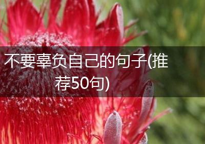 不要辜负自己的句子(推荐50句)