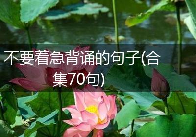 不要着急背诵的句子(合集70句)