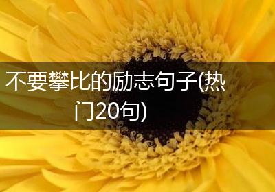 不要攀比的励志句子(热门20句)
