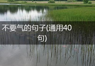 不要气的句子(通用40句)