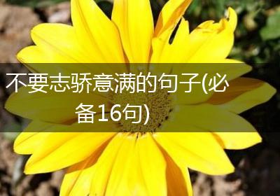 不要志骄意满的句子(必备16句)