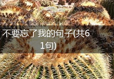 不要忘了我的句子(共61句)
