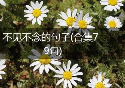 不见不念的句子(合集79句)