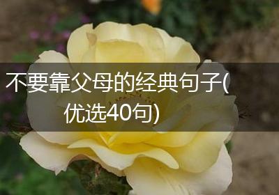 不要靠父母的经典句子(优选40句)