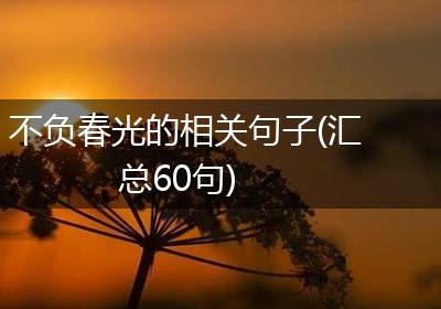 不负春光的相关句子(汇总60句)