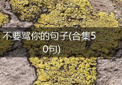 不要骂你的句子(合集50句)