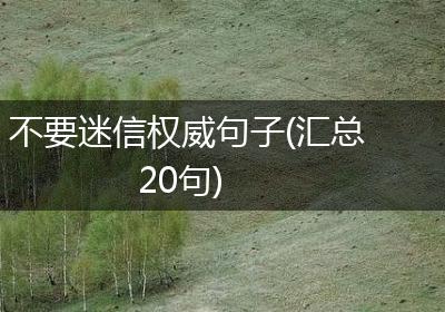 不要迷信权威句子(汇总20句)