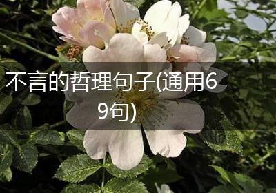 不言的哲理句子(通用69句)