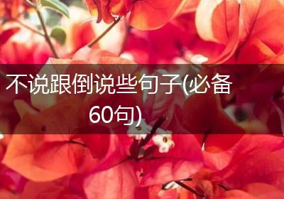 不说跟倒说些句子(必备60句)