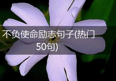 不负使命励志句子(热门50句)