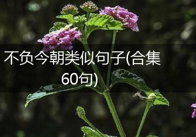 不负今朝类似句子(合集60句)