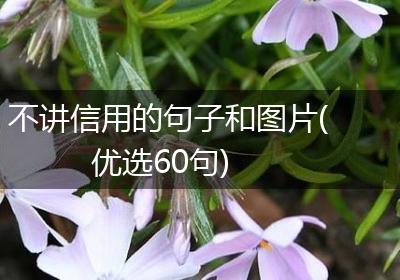 不讲信用的句子和图片(优选60句)