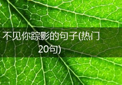 不见你踪影的句子(热门20句)