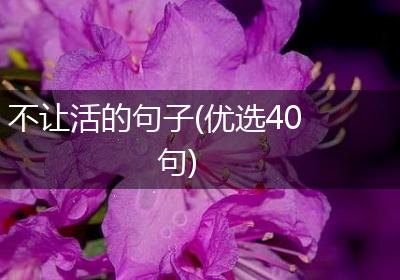 不让活的句子(优选40句)