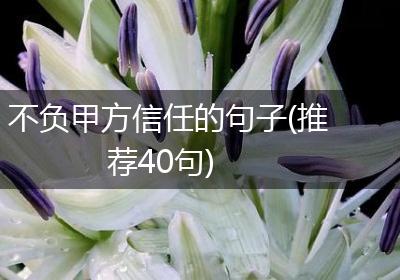 不负甲方信任的句子(推荐40句)