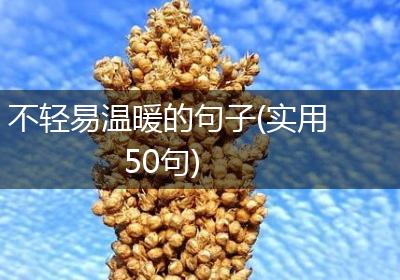 不轻易温暖的句子(实用50句)