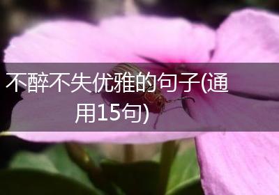 不醉不失优雅的句子(通用15句)