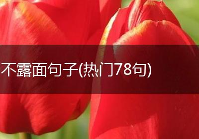 不露面句子(热门78句)