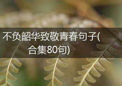 不负韶华致敬青春句子(合集80句)