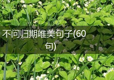 不问归期唯美句子(60句)