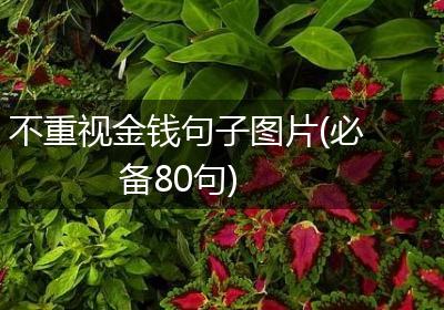 不重视金钱句子图片(必备80句)