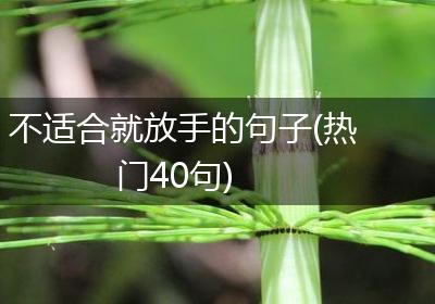 不适合就放手的句子(热门40句)