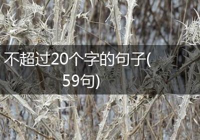 不超过20个字的句子(59句)