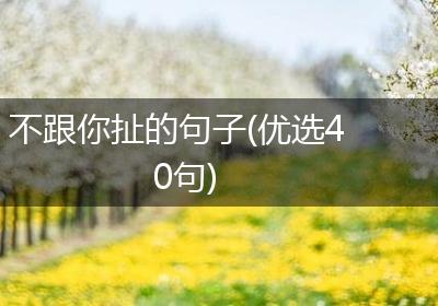 不跟你扯的句子(优选40句)