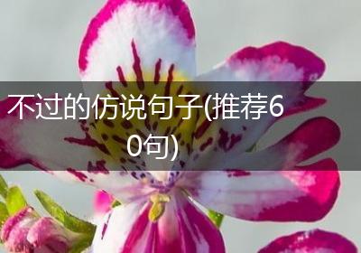 不过的仿说句子(推荐60句)