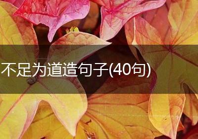 不足为道造句子(40句)