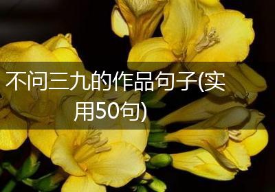 不问三九的作品句子(实用50句)